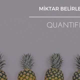 quantifiers miktar belirleyiciler