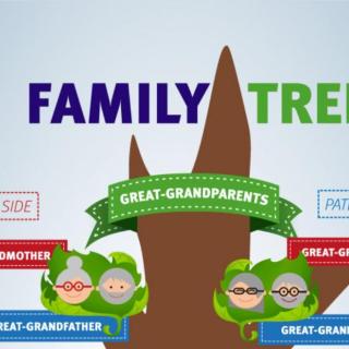 family tree inforgraphic 