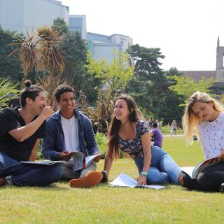 students working in a park