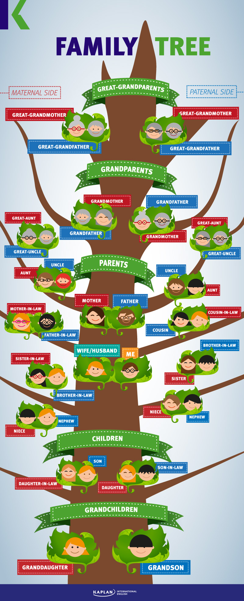 إنفوجرافيك رسم شجرة العائلة بالانجليزية - FAMILY TREE