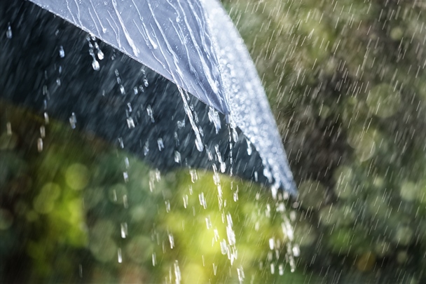 أجمل 10 كلمات إنجليزية - Pluviophile