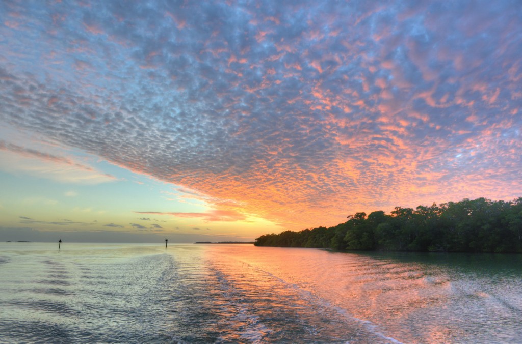 everglades-1024x676