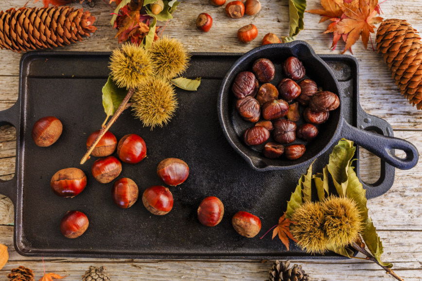 autumn chestnuts